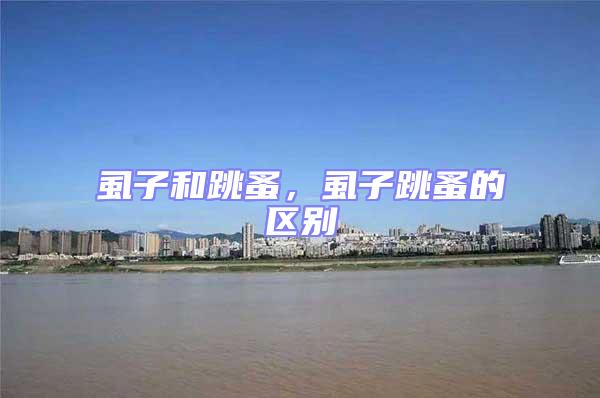 虱子和跳蚤，虱子跳蚤的區別