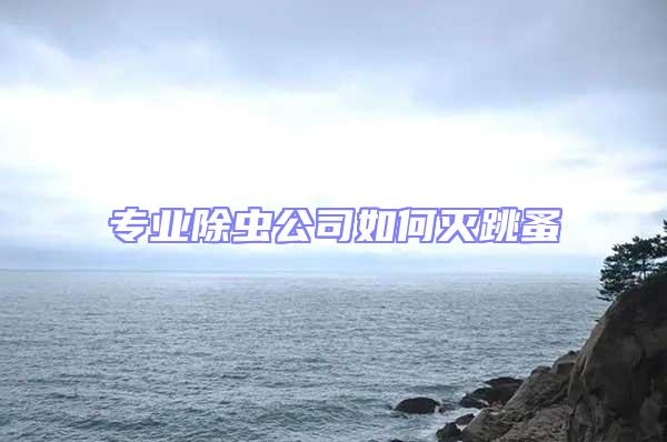 專業除蟲公司如何滅跳蚤