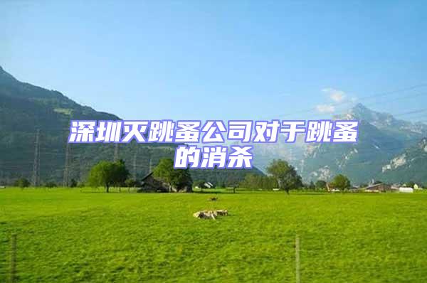 深圳滅跳蚤公司對于跳蚤的消殺