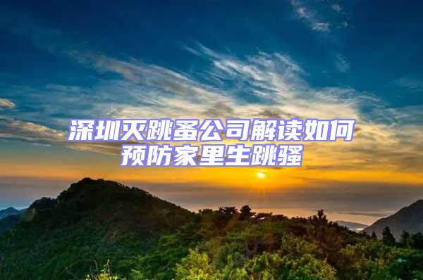 深圳滅跳蚤公司解讀如何預防家里生跳騷