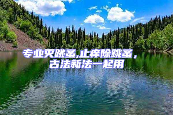專業滅跳蚤,止癢除跳蚤， 古法新法一起用
