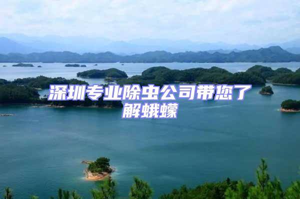 深圳專業(yè)除蟲公司帶您了解蛾蠓