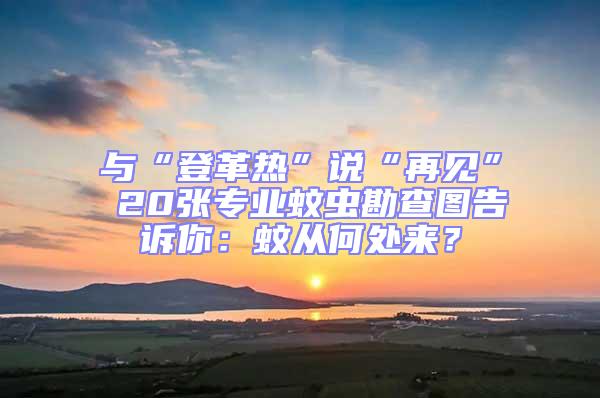 與“登革熱”說“再見” 20張專業蚊蟲勘查圖告訴你：蚊從何處來？