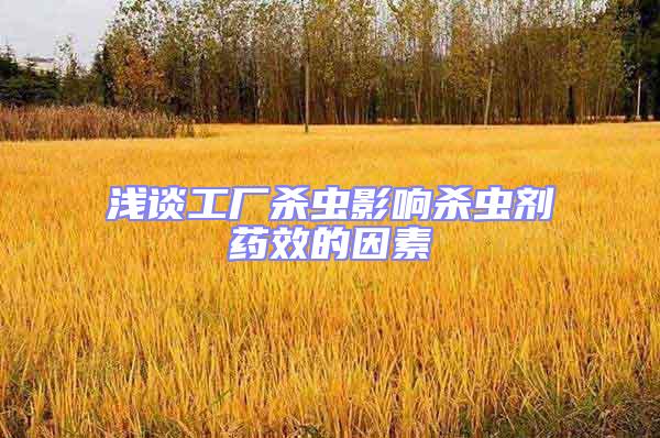 淺談工廠殺蟲影響殺蟲劑藥效的因素