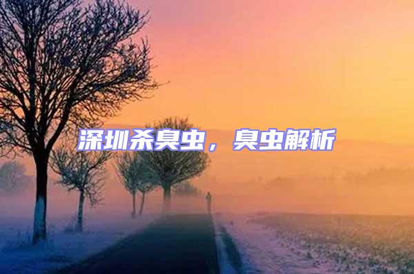 深圳殺臭蟲，臭蟲解析