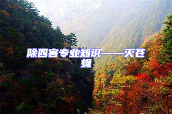 除四害專業知識——滅蒼蠅