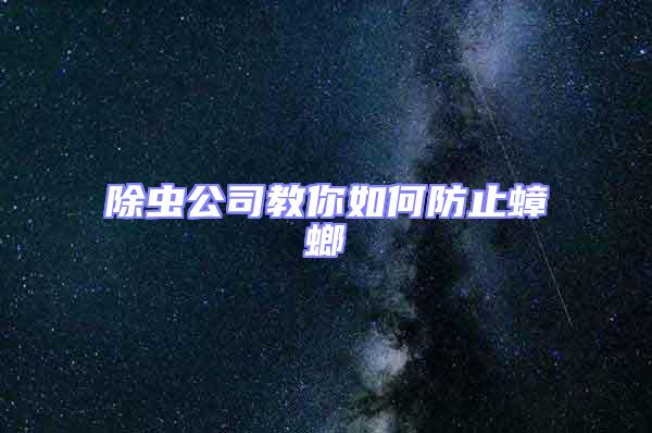 除蟲公司教你如何防止蟑螂