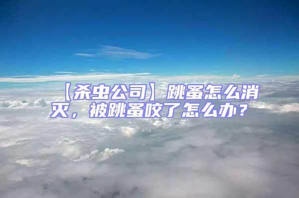 【殺蟲公司】跳蚤怎么消滅，被跳蚤咬了怎么辦？