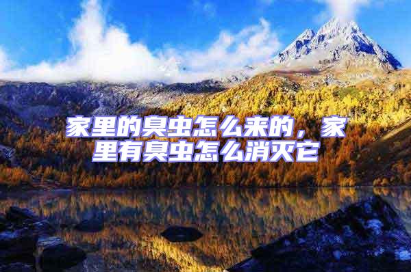 家里的臭蟲怎么來的，家里有臭蟲怎么消滅它