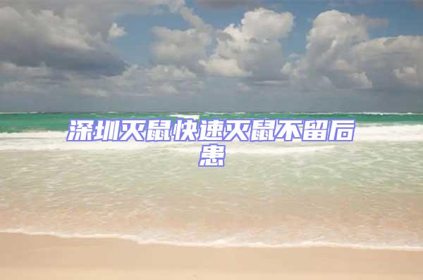 深圳滅鼠快速滅鼠不留后患