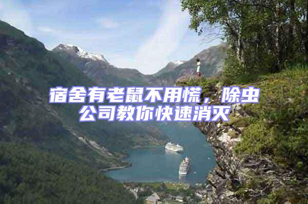 宿舍有老鼠不用慌，除蟲公司教你快速消滅