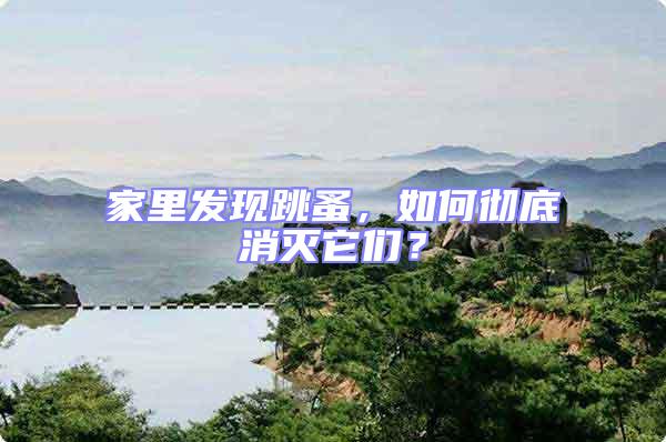 家里發現跳蚤，如何徹底消滅它們？