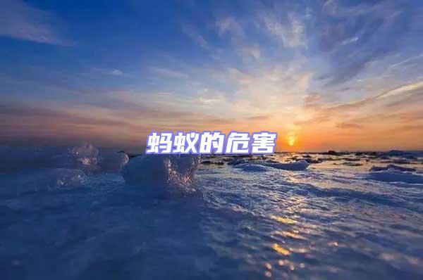 螞蟻的危害