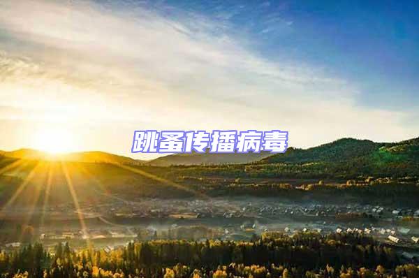 跳蚤傳播病毒