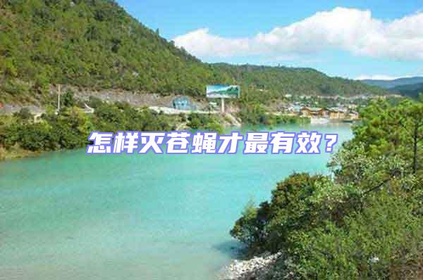 怎樣滅蒼蠅才最有效？