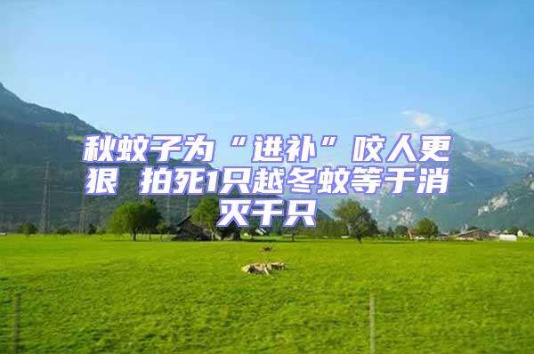 秋蚊子為“進補”咬人更狠 拍死1只越冬蚊等于消滅千只