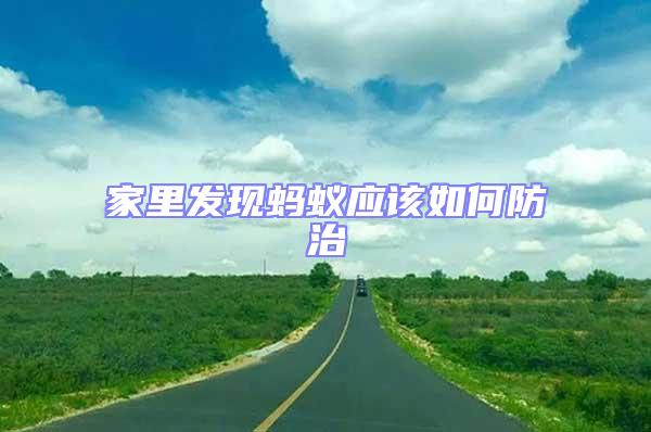 家里發現螞蟻應該如何防治