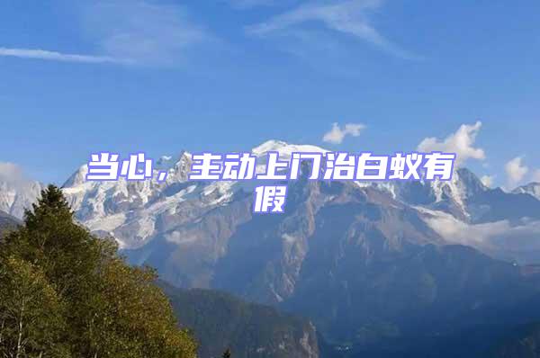 當(dāng)心，主動(dòng)上門治白蟻有假