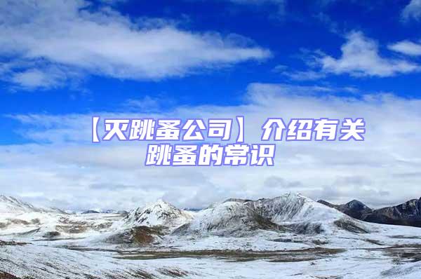 【滅跳蚤公司】介紹有關跳蚤的常識