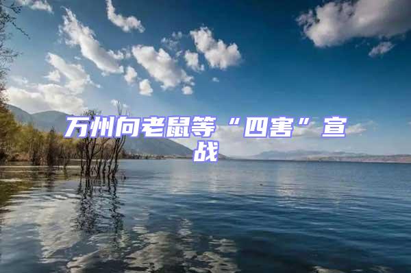 萬州向老鼠等“四害”宣戰