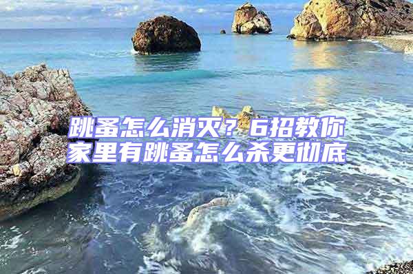 跳蚤怎么消滅？6招教你家里有跳蚤怎么殺更徹底