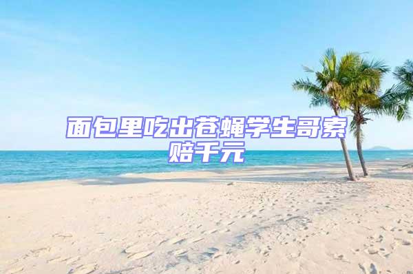 面包里吃出蒼蠅學生哥索賠千元