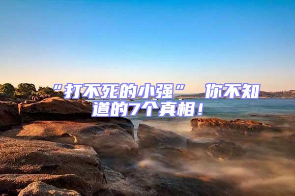 “打不死的小強(qiáng)” 你不知道的7個真相！