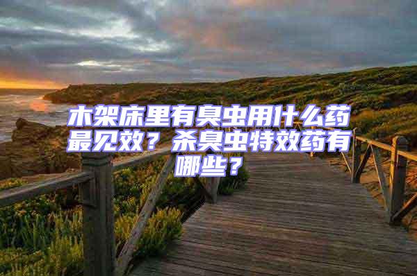 木架床里有臭蟲用什么藥最見效？殺臭蟲特效藥有哪些？
