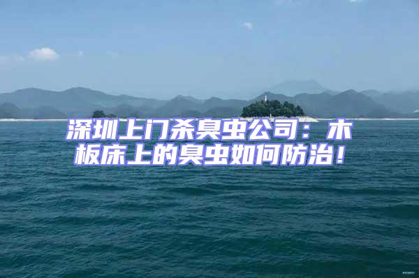 深圳上門(mén)殺臭蟲(chóng)公司：木板床上的臭蟲(chóng)如何防治！