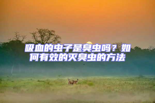 吸血的蟲子是臭蟲嗎？如何有效的滅臭蟲的方法