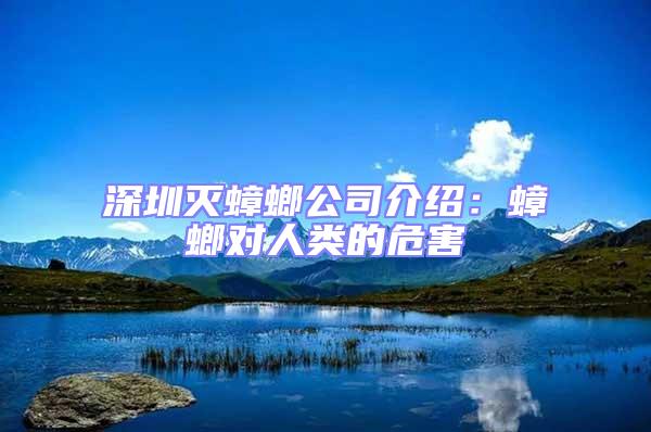 深圳滅蟑螂公司介紹：蟑螂對人類的危害