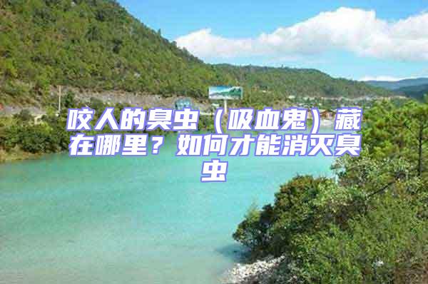 咬人的臭蟲（吸血鬼）藏在哪里？如何才能消滅臭蟲