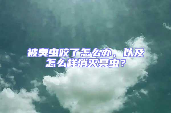 被臭蟲咬了怎么辦，以及怎么樣消滅臭蟲？
