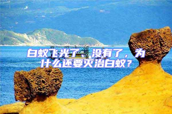白蟻飛光了、沒有了，為什么還要滅治白蟻？