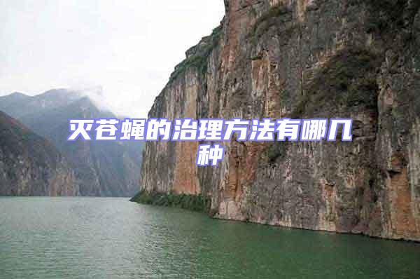 滅蒼蠅的治理方法有哪幾種