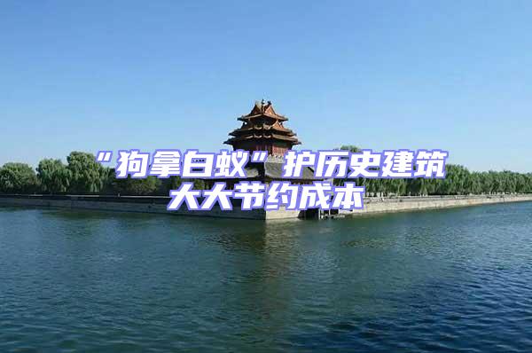 “狗拿白蟻”護歷史建筑 大大節約成本