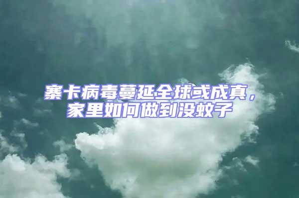 寨卡病毒蔓延全球或成真，家里如何做到沒蚊子