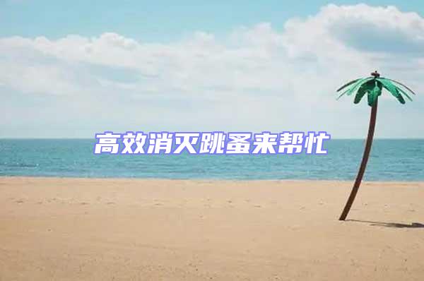 高效消滅跳蚤來幫忙