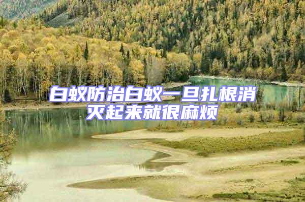 白蟻防治白蟻一旦扎根消滅起來就很麻煩