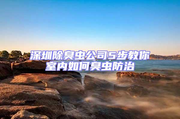 深圳除臭蟲公司5步教你室內如何臭蟲防治