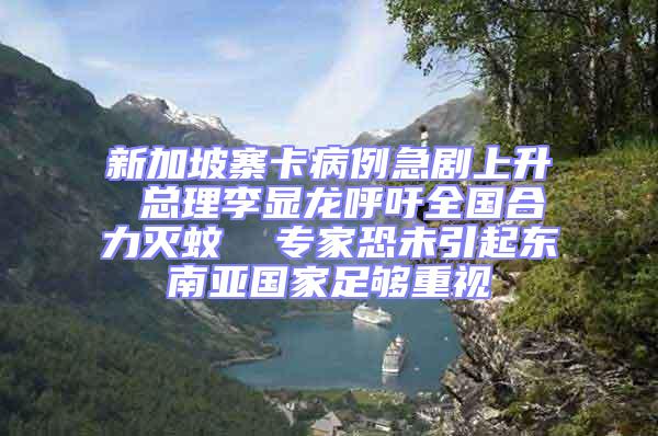 新加坡寨卡病例急劇上升 總理李顯龍呼吁全國合力滅蚊  專家恐未引起東南亞國家足夠重視