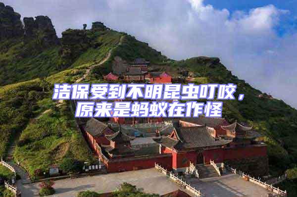 潔保受到不明昆蟲叮咬，原來是螞蟻在作怪