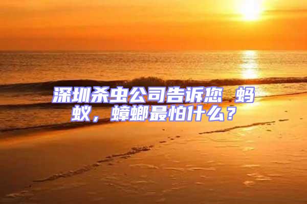 深圳殺蟲公司告訴您 螞蟻，蟑螂最怕什么？