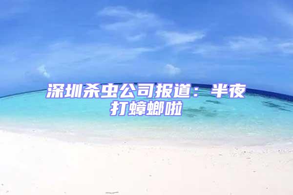 深圳殺蟲公司報道：半夜打蟑螂啦