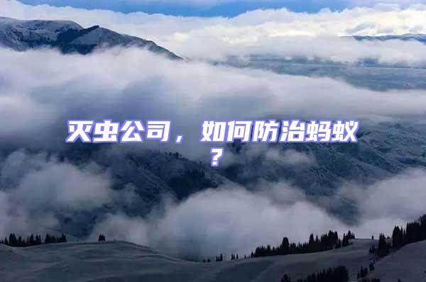滅蟲公司，如何防治螞蟻？