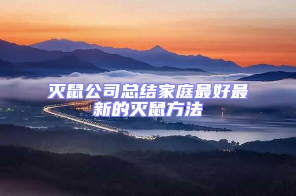 滅鼠公司總結家庭最好最新的滅鼠方法