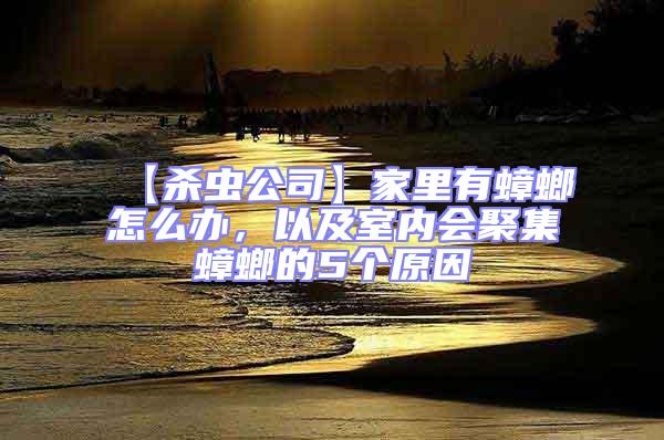 【殺蟲公司】家里有蟑螂怎么辦，以及室內會聚集蟑螂的5個原因