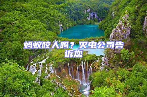 螞蟻咬人嗎？滅蟲公司告訴您