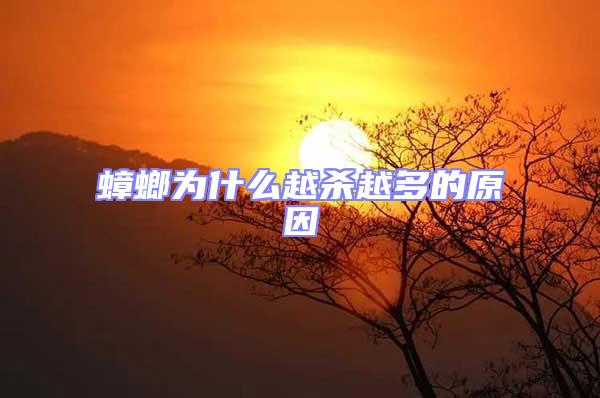 蟑螂為什么越殺越多的原因