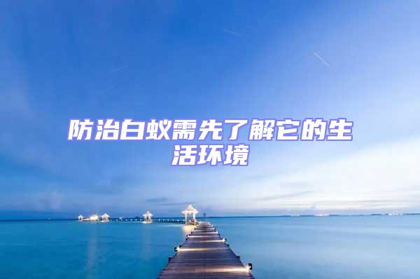 防治白蟻需先了解它的生活環境